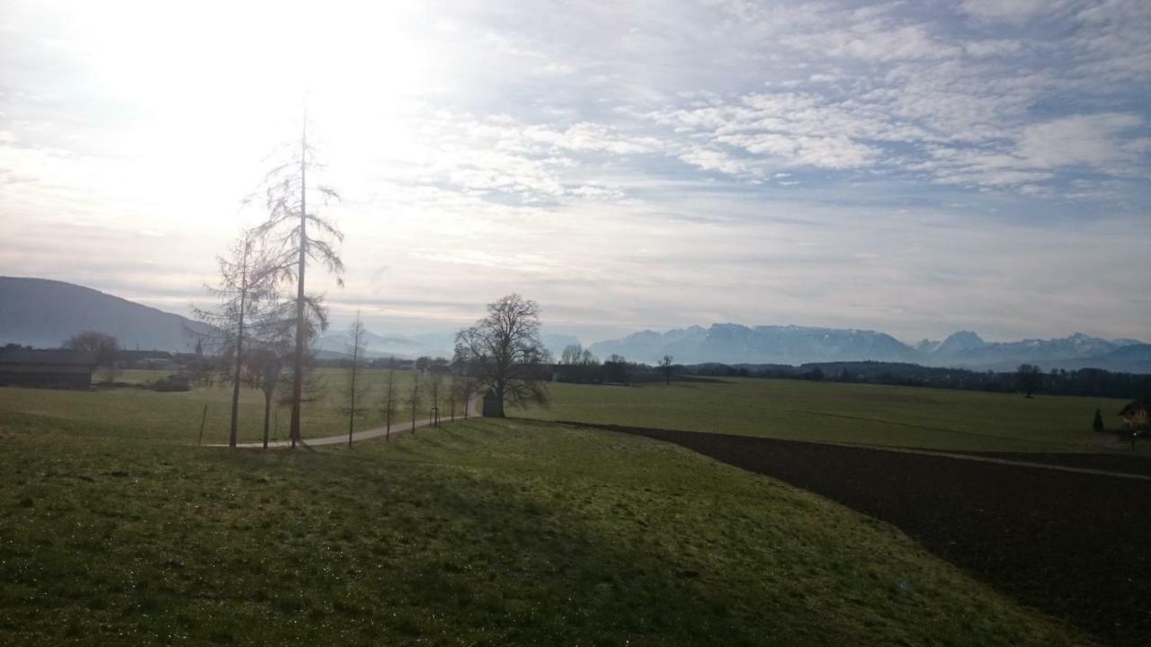 Ferienwohnung An Der Idyllischen Salzachschleife Naehe Salzburg Laufen Zewnętrze zdjęcie